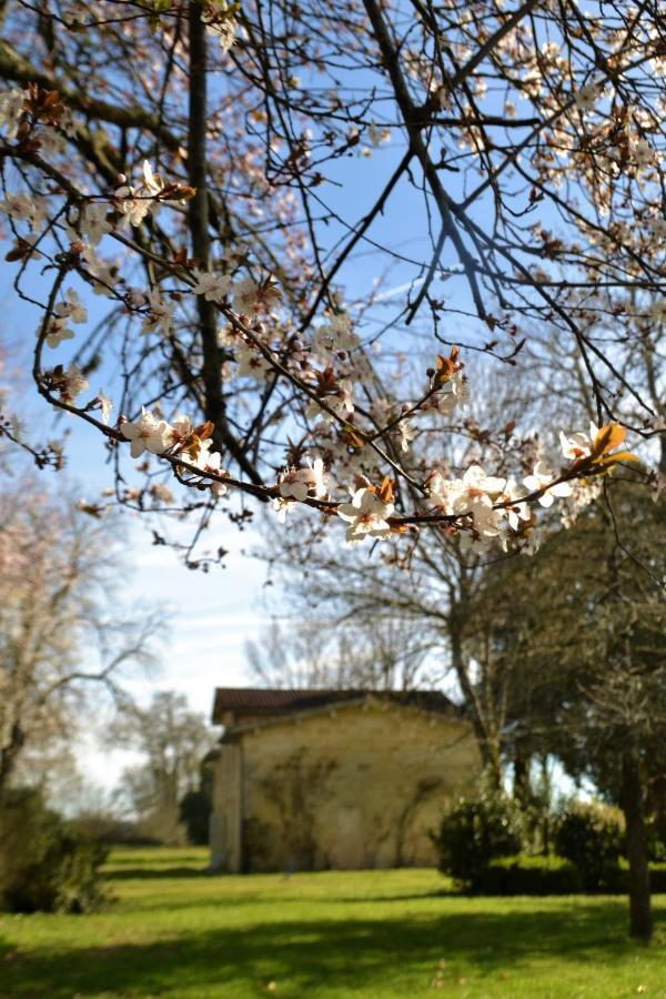Relais De Margaux - Hotel & Spa Esterno foto